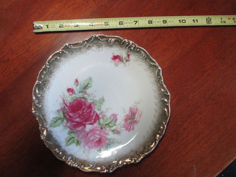 Rich Vintage German Porcelain Roses And Gold Plate