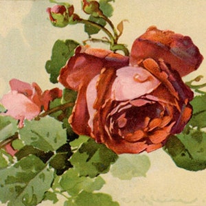 Klein Red Rose And Buds Original Antique Art Postcard