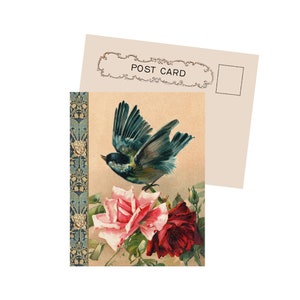Bird With Roses By Klein New Vintage Image Postcard