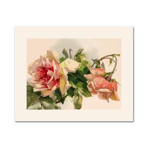 Peach Roses By Klein Vintage Image Poster Print