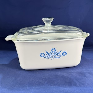 May include: White rectangular casserole dish with a clear glass lid. The dish features a blue floral design on the front. The lid has a clear knob handle. The dish is approximately 9 inches long.