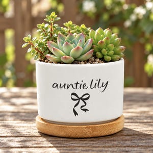 May include: A white ceramic planter pot featuring the black text "auntie lily" above a black bow graphic. The pot contains a variety of green succulents and sits on a circular light brown bamboo saucer base.