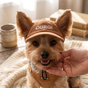 Könnte beinhalten: Ein kleiner Hund trägt eine braune Baseballkappe aus Kord mit dem in Weiß aufgestickten Wort CORGI auf der Vorderseite. Die Kappe hat einen strukturierten Schirm und ein passendes braunes Kordgeschirr mit einer sichtbaren schwarzen Kordel.