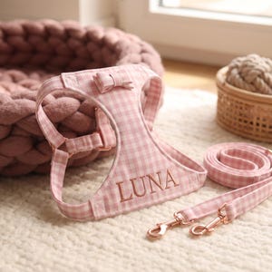May include: A pink and white gingham pet harness featuring a small bow at the top and the name LUNA embroidered in pink thread. The harness includes rose gold metal hardware and is accompanied by a matching pink and white gingham leash.