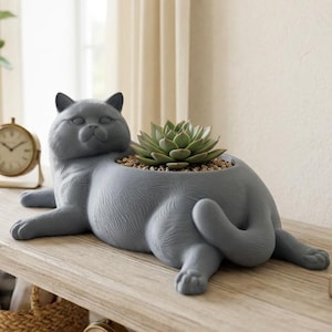 Bandeja organizadora para gatos British Shorthair (arquivo STL), organizador de mesa para gatos, porta-chaves, vaso para suculentas.