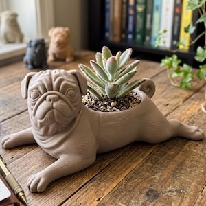 May include: A light brown, matte-finished planter shaped like a lying pug dog. The planter features a detailed, sculpted pug face with characteristic wrinkles and a curled tail. A small, green succulent plant is potted in the centre of the pug's back.
