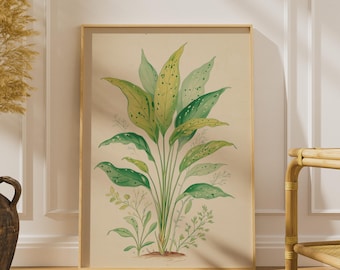 Chinese Evergreen Botanical Print, Aglaonema Plant Poster, Vintage Green Wall Art