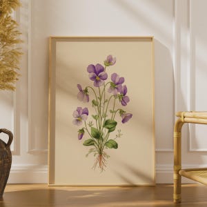 May include: A framed botanical print on a light beige background featuring a cluster of purple pansy flowers with green leaves and visible brown roots. The illustration displays multiple violet blossoms with yellow centers on thin stems.