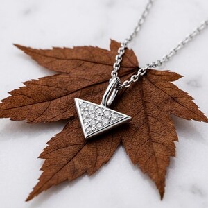 May include: A silver-toned necklace featuring a triangular pendant encrusted with small, clear, round-cut stones. The pendant is attached to a delicate silver-toned chain, creating a refined piece of jewelry that rests against a brown maple leaf.