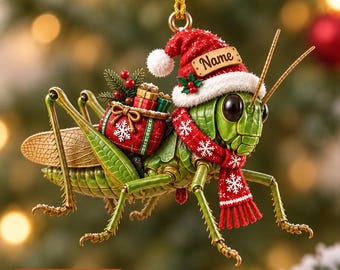 Personalized Grasshopper Christmas Ornament, Custom Name Insect Ornament, Bug Lover Gift, Nature Lover Holiday Keepsake NH-212