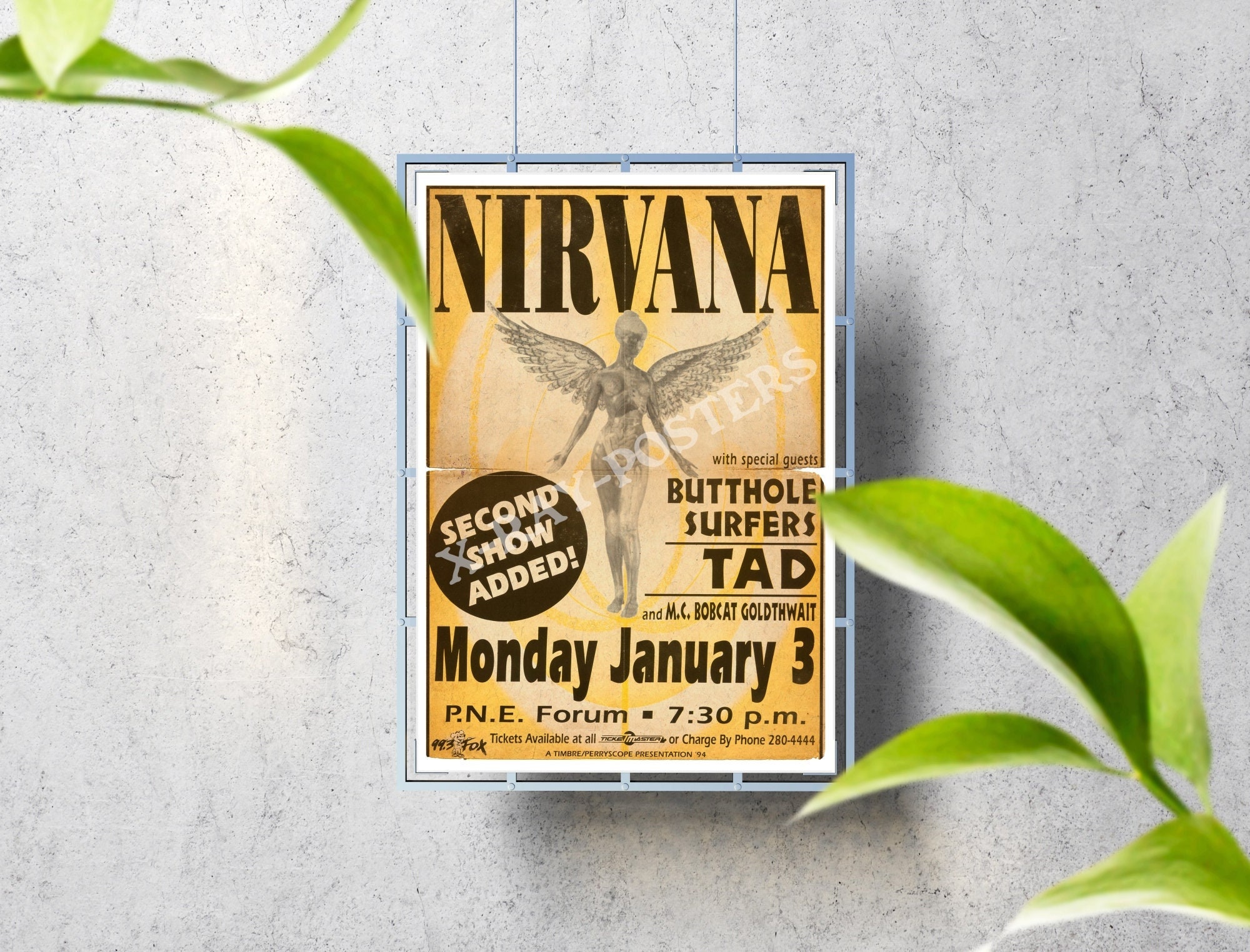 Discover Nirvana Live In Utero Concert Poster