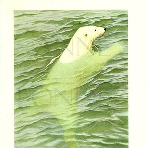 1970 Poster d'animal vintage Poster d'ours blanc Peinture d'ours blanc Cadeau ours blanc animaux sauvages mammifères