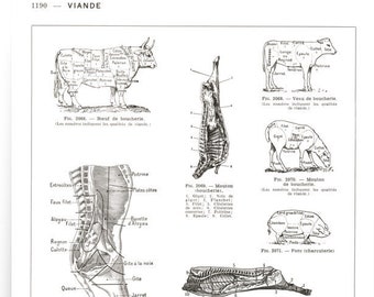 Grande affiche de boucherie carrée. Diagramme des morceaux de viande sur  boeuf porc mouton. Cadeau pour chef boucher éleveur fermier poster