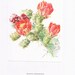 see more listings in the BOTANICAL PRINTS section