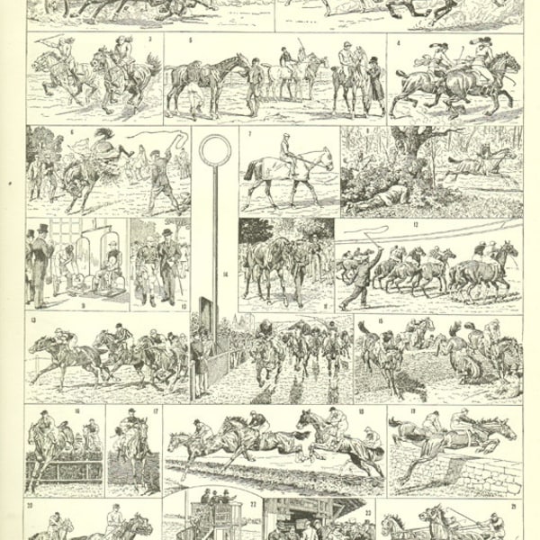 Jeu de société ASCOT 1946 : jeu de tiercé français