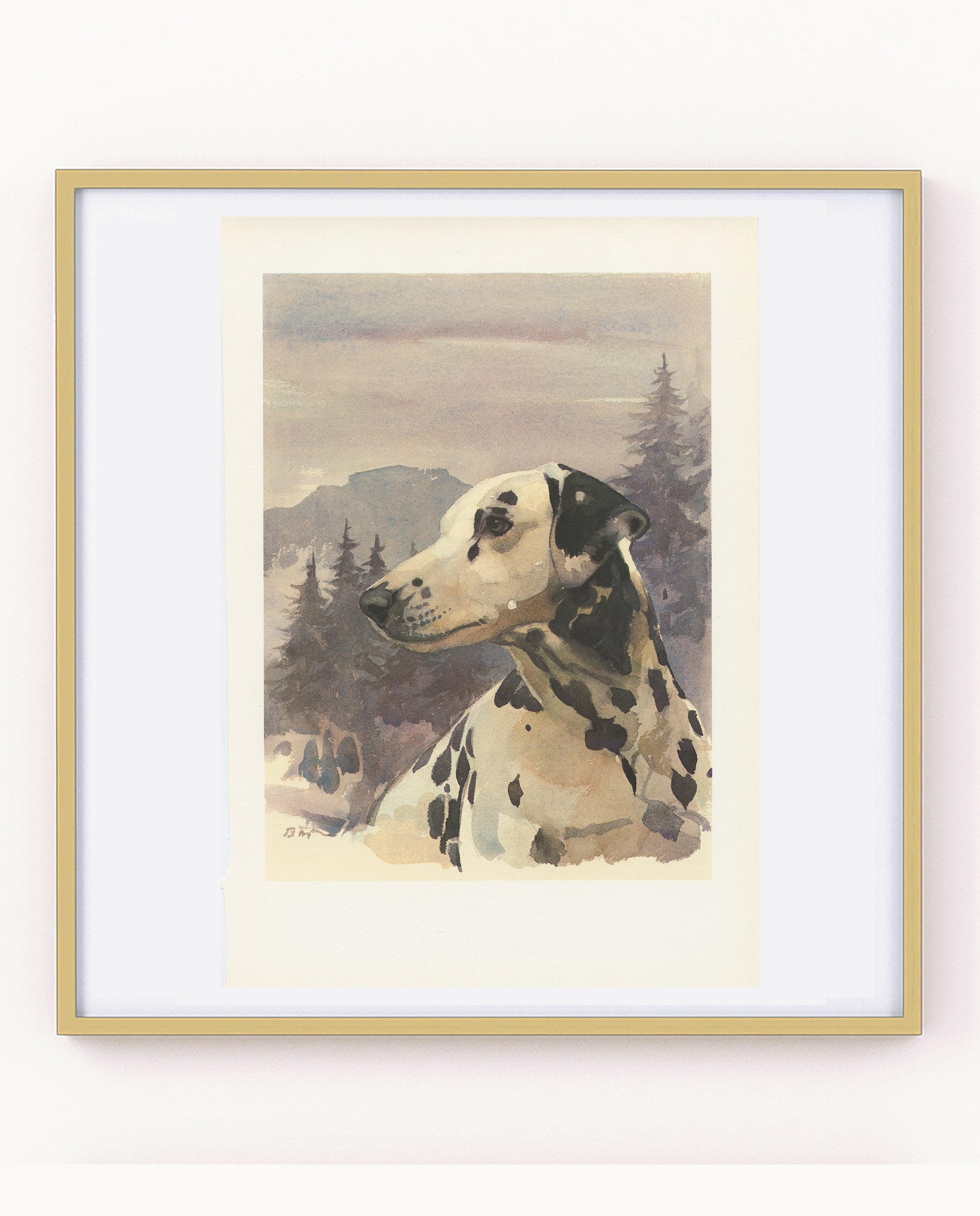 Dalmatien Vintage - 1975 Illustration de Chien Dalmatien Noir et Blanc - Petite Affiche Chien - Cade