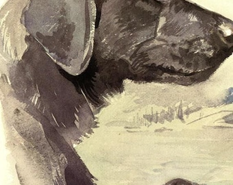 Black lab dog art from 1975.Vintage dog lover gift Black Labrador retriever dog wall art print Dog watercolor Veterinarian gift office decor