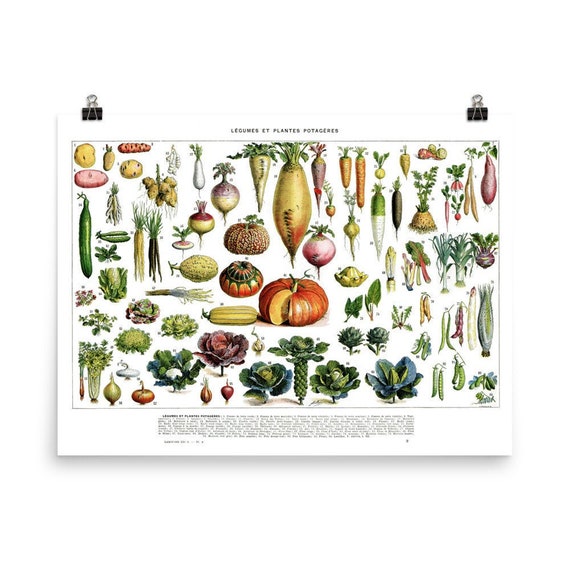 18x24 Vegetables chart. Horizontal Large kitchen decor. | Etsy