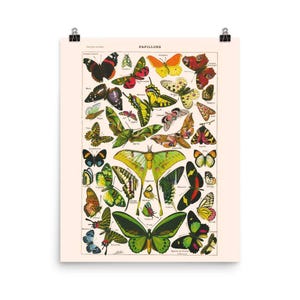 May include: A vintage-style poster featuring a collection of colorful butterflies. The butterflies are in various sizes and shapes, with a range of colors including green, yellow, red, and black. The word "PAPILLONS" is printed at the top of the poster.