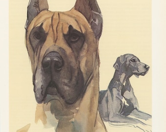 1975 Great Dane dog print for Vintage dog home decor. Gift for pet owner, vet, groomer. Brown dog painting. Unframed wall art. Cottagecore