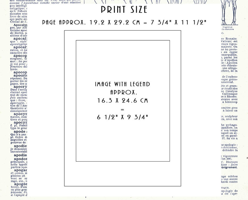 May include: A black and white image showing the print size and image size of a page with a legend. The page size is 7 3/4 inches by 11 1/2 inches, or 19.2 cm by 29.2 cm. The image size is 6 1/2 inches by 9 3/4 inches, or 16.3 cm by 24.6 cm.
