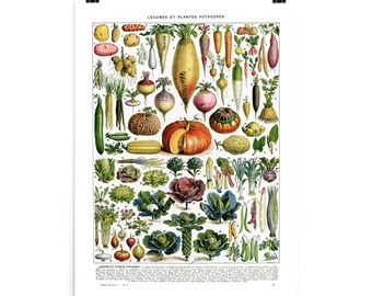 Posters Vintage Fruits Et Légumes – Tableau De Référence D