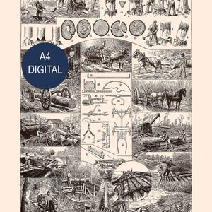 Op de afbeelding: Een vintage illustratie die verschillende aspecten van houtkap en houtverwerking weergeeft. De afbeelding toont scènes van het vellen van bomen, het zagen van boomstammen en het vervoeren van hout, met de tekst "A4 DIGITAL" in een blauwe cirkel.