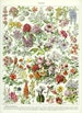 PRINTABLE 1936 Vintage botanical art. Bushes & trees flowers chart digital collage sheet.Floral country decor instant download plants nature 