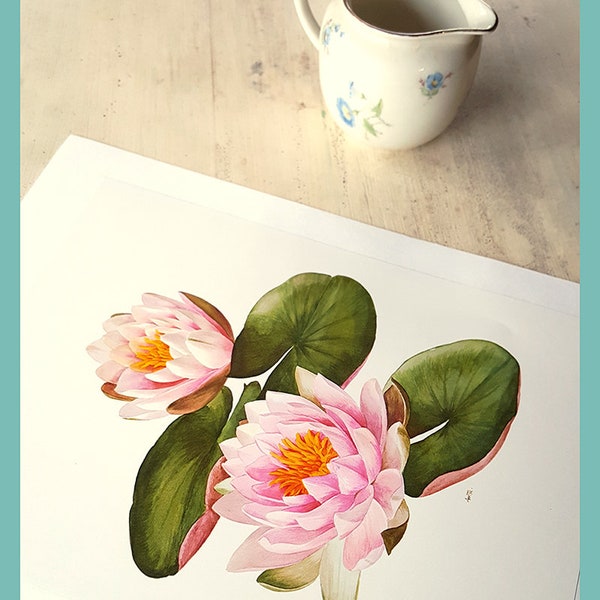 Nymphea print 1972 Vintage Pink lotus poster botanical art nymphea art Lotus art Seerose poster flower Lotus print Lotus decor German