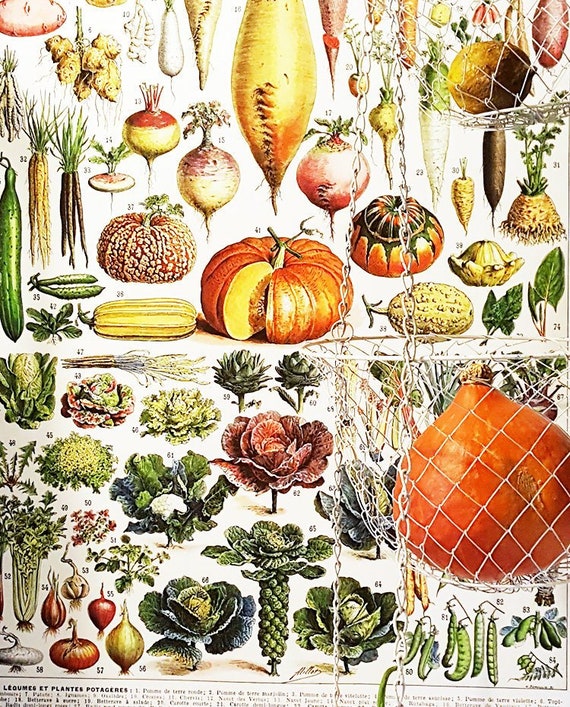 1936 Vintage kitchen wall art 18x24 Vegetables chart Vegetable poster