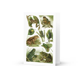 Antique Frogs & toads Greeting card  for pond woodland animal wall art. Exotic Poisonous Green Amphibian Zoology academia