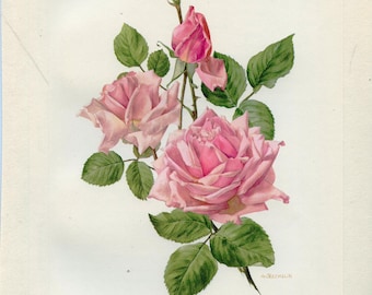 1962 La France Pink Roses print for Vintage English Cottage Floral home decor. French country decor. Cottagecore Grandmillenial poster