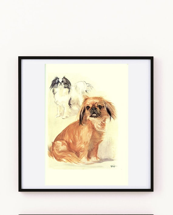 JAPANESE CHIN TWO DOGS LOVELY VINTAGE STYLE DOG ART PRINT POSTER