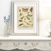 Mimetic Insects Print for Antique Bugs Art. Old Science Poster. Animal ...