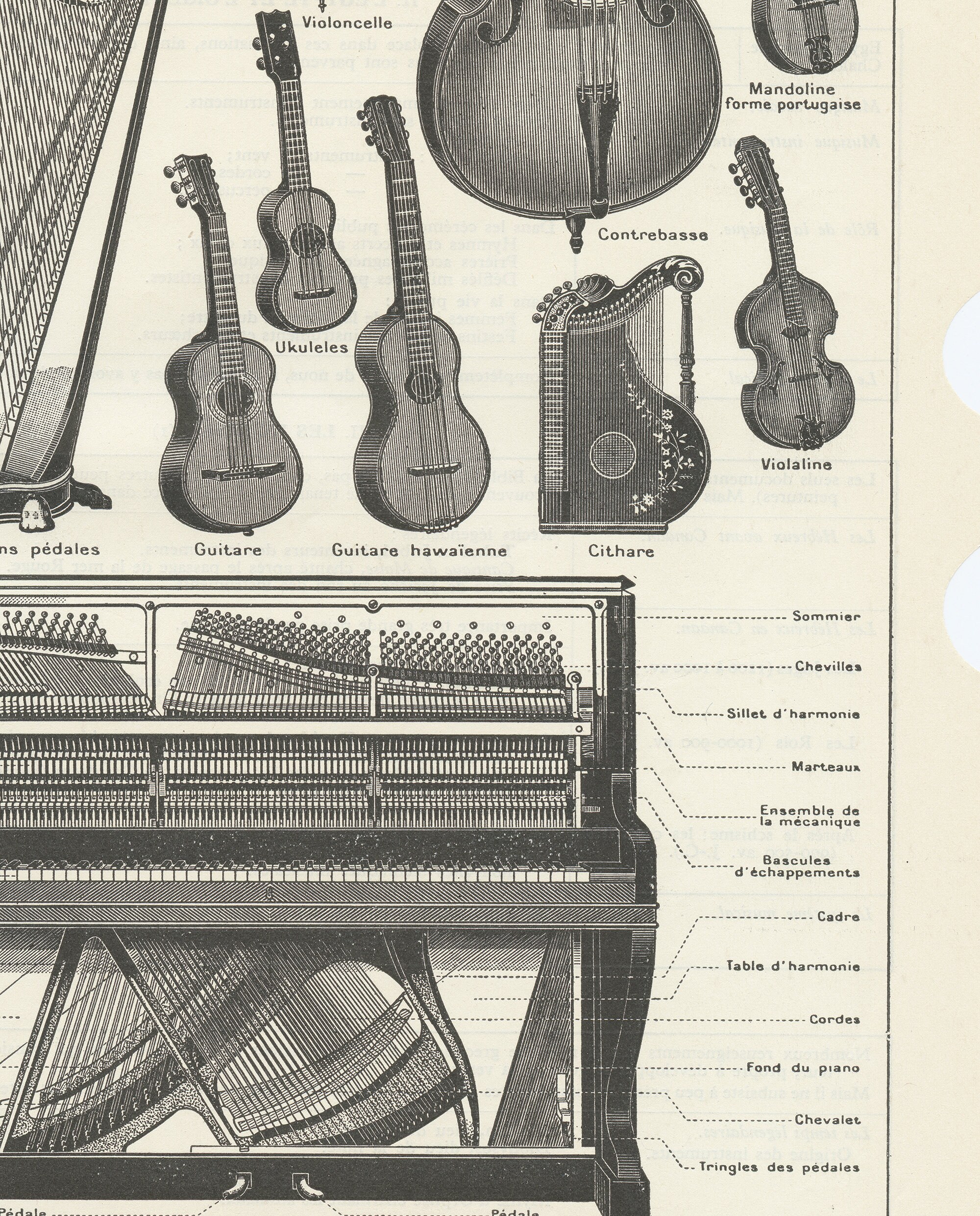 Antique Musical Instruments Print From 1938. Piano Strings Viola
