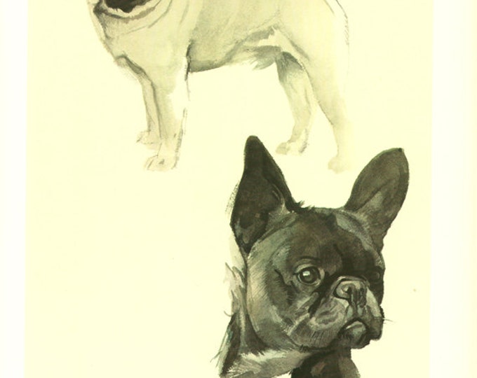French bulldog art, 1975 Vintage dog print, French bulldog gifts, Dog wall art, Bulldog wall art, French bulldog decor, French bull dog art