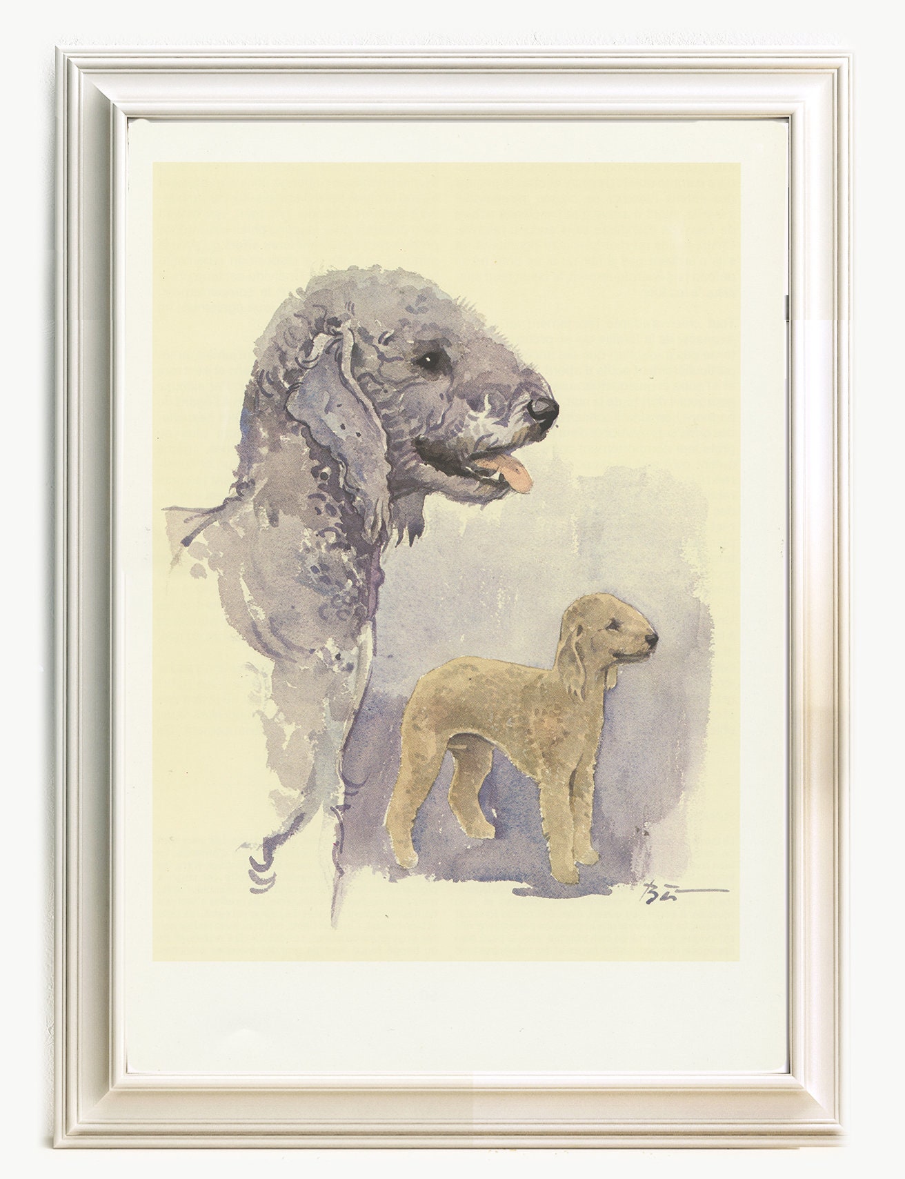 Petite Illustration de Terrier Bedlington Vintage 1975. Petite Afficher Verticale. Cadeau Pour Vétér