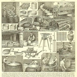 Può includere: Un'illustrazione d'epoca che mostra il processo di produzione del formaggio. L'immagine presenta lavoratori, attrezzature e diversi tipi di formaggio. L'incisione dettagliata include testo e numeri, offrendo uno sguardo storico.