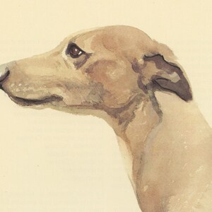 1975 Whippet dog print for vintage Dog home decor. Running dog art, gift for dog owner Racing Dog painting Small art imagen 2
