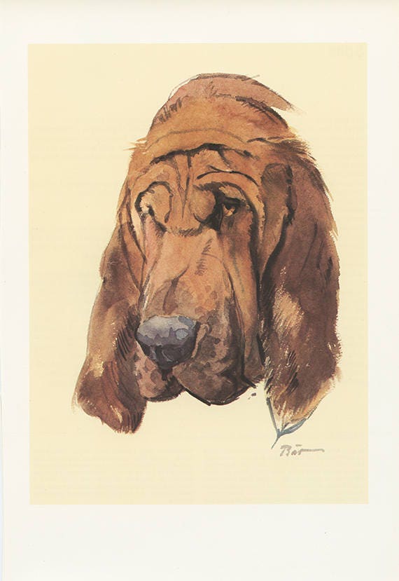 Bloodhound gifts best sale