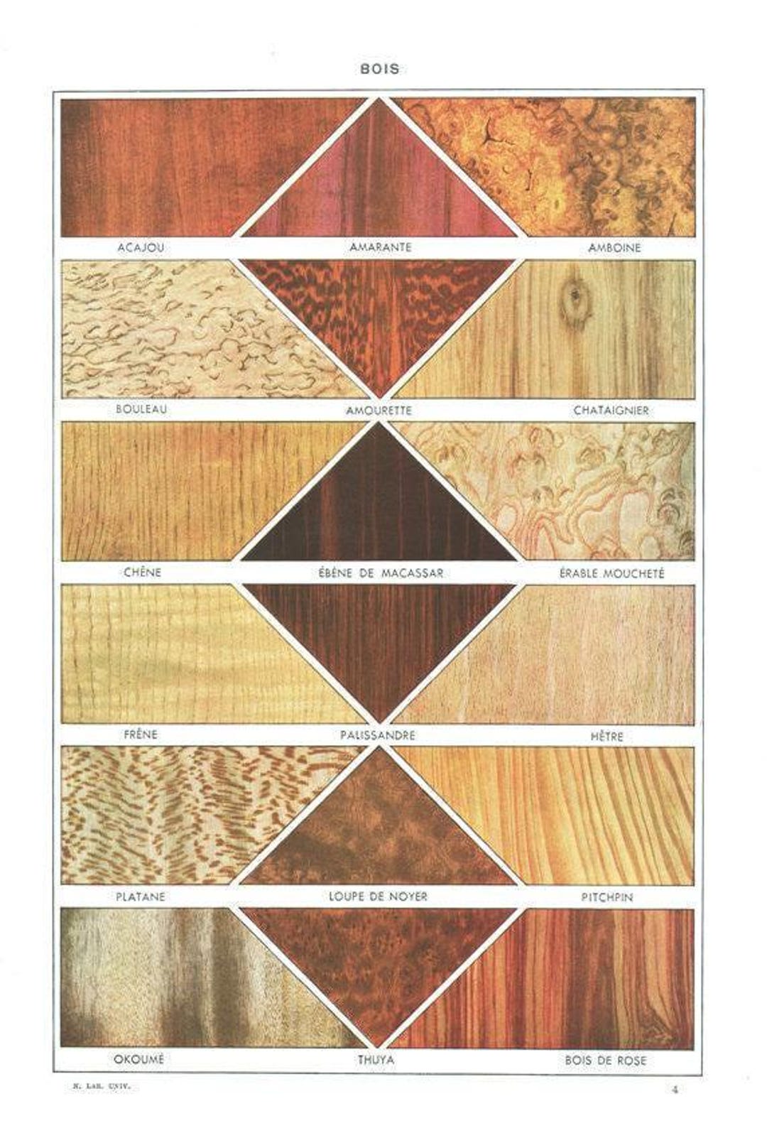 1949 Wood Frame Vintage Poster ポスター 1948 Precious Wood Poster Wood Grain Types Vintage Woodworking