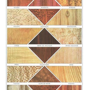 Peut inclure: Illustration vintage présentant des échantillons de différents bois. L'image est divisée en sections rectangulaires et en losanges, chacune affichant un type de bois différent, notamment Acajou, Amarante et Amboine. Le mot "BOIS" est en haut.