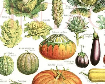 Vegetables print 1948 Vintage kitchen decor Vegetable poster Antique botanical print Botanical art French country decor kitchen wall hanging