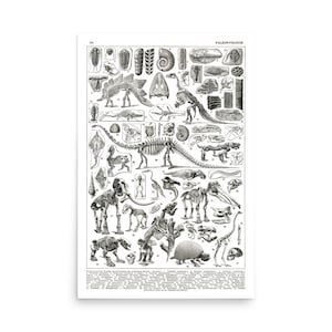Large Paleontology Poster. Vintage style black and white unframed prehistory print. Skeleton fossil dinosaur decor. Gift for historian.