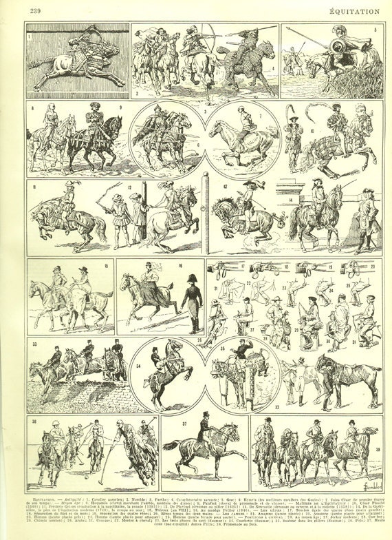Equitation1936 Illustration d'equitation Illustration Vintage Art Équestre Cadeau Pour Cavalier Equi