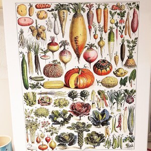16x20" stretched Canvas vegetables botanical wall art print for kitchen decor for modern rustic farmhouse decor. Food Veggie gardener gift image 6