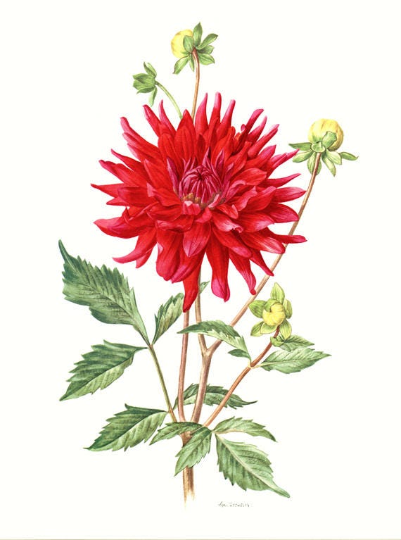 Fukuzawa Ichiro | Red flowers | MutualArt