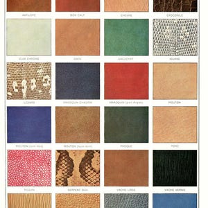 May include: A chart showing different types of leather, including antelope, box calf, chevre, crocodile, cuir chrome, daim, galuchat, iguana, lézard, maroquin chagrin, maroquin (grain anglais), mouton, mouton (varni lisse), mouton (laçon daim), phoque, porc, requin, serpent boa, vache lisse, vache vernie, vache (grain long), vache (grain porc), veau écrasé, and veau lisse.