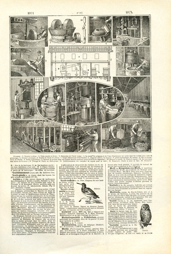 1922 Gravure Vintage Fabrication de L'huile d'olive Pressage Des Huiles Illustration Huilerie Presse