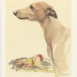 1975 Whippet dog print for vintage Dog home decor. Running dog art, gift for dog owner Racing Dog painting Small art imagen 1